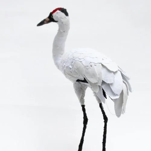 Whooping_crane2_sml.jpg
