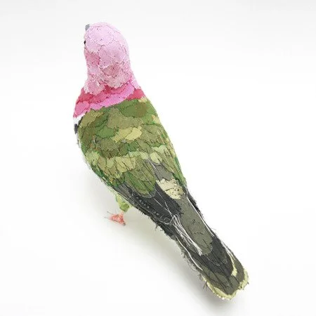 pink_headed_fruit_dove02_sml.jpg