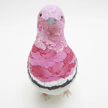 pink_headed_fruit_dove03_sml.jpg