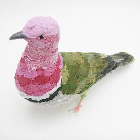 pink_headed_fruit_dove04_sml.jpg