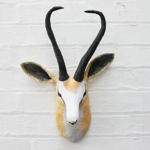 springbok.jpg