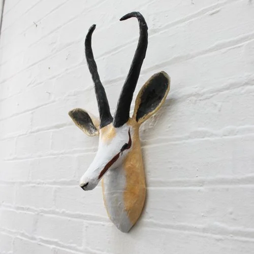 springbok2_sml.jpg