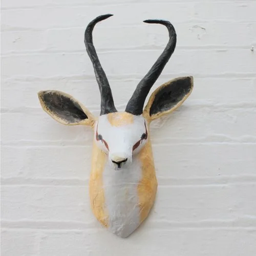 springbok5_sml.jpg