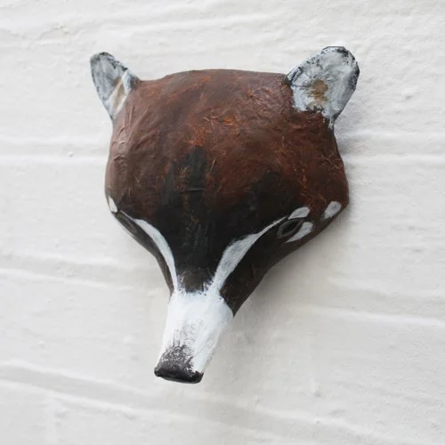 coati2_sml.jpg