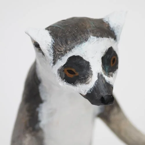 ring_tailed_lemur4_sml.jpg