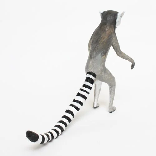 ring_tailed_lemur5_sml.jpg