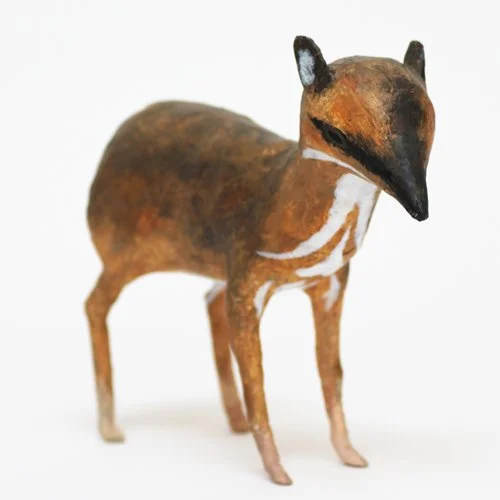 chevrotain3_sml.jpg