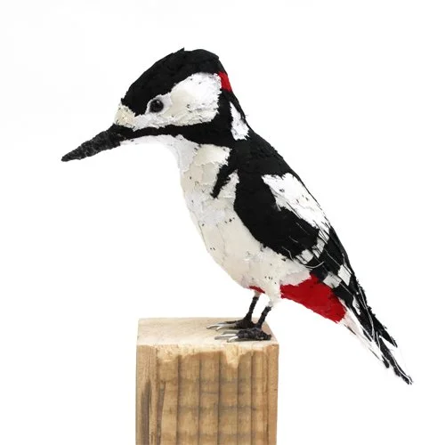 Greater_spotted_woodpecker6_sml.jpg