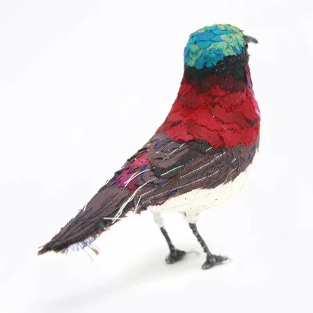 crimson_backed_sunbird02_sml.jpg