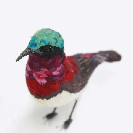 crimson_backed_sunbird04_sml.jpg