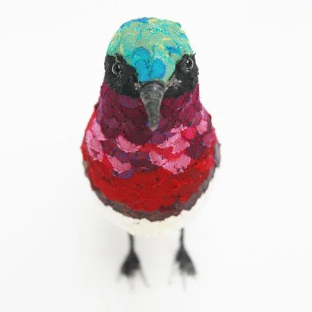 crimson_backed_sunbird05_sml.jpg