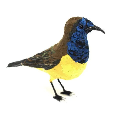 olive_backed_sunbird_side_sml.jpg