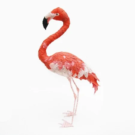 american_flamingo_side_sml.jpg