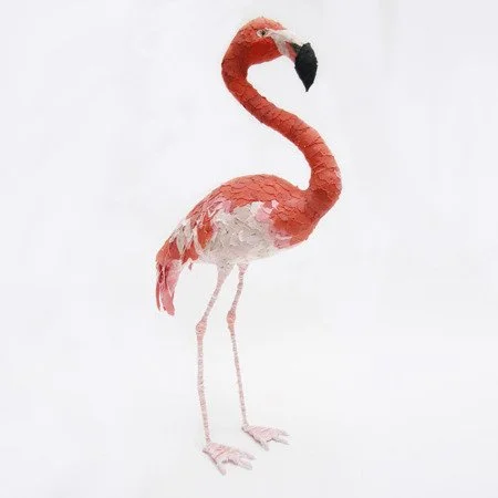 american_flamingo03_sml.jpg