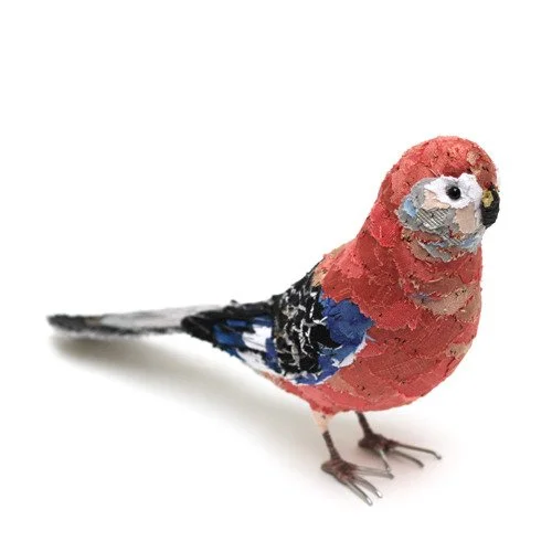 bourkes_parakeet01_sq_sml.jpg