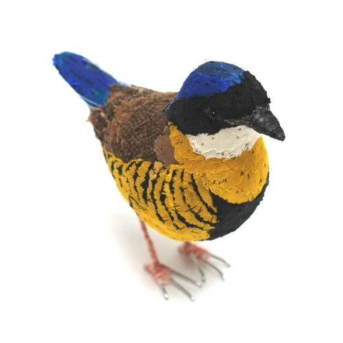 gurney_pitta03_sq_sml.jpg