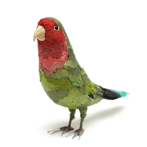 peach_faced_love_bird07_sq_sml.jpg