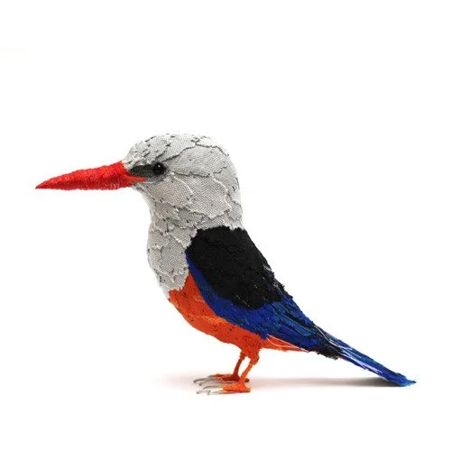 grey_headed_kingfisher03_sq_sml.jpg