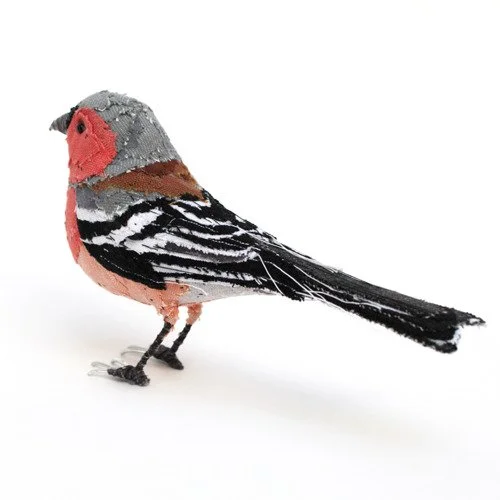 chaffinch_03_sml.jpg