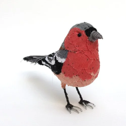 chaffinch_04_sml.jpg