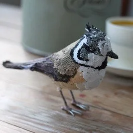 creasted_tit_tablesml_2_sq.jpg