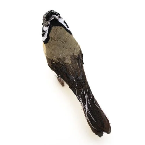 crested_tit_05_sml.jpg
