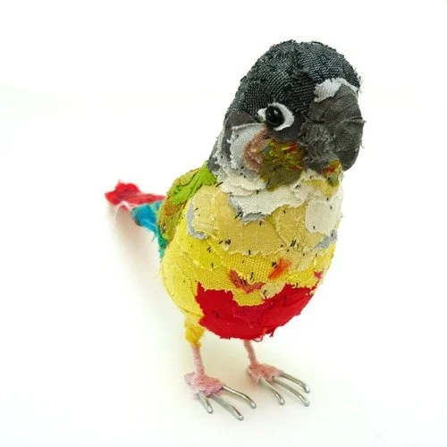 green_cheeked_conure02_sml.jpg