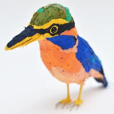 rufous_collared_kingfisher2_sq_sml.jpg