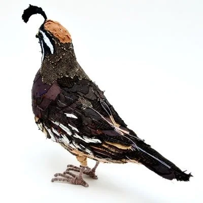 quail4_sq_sml.jpg