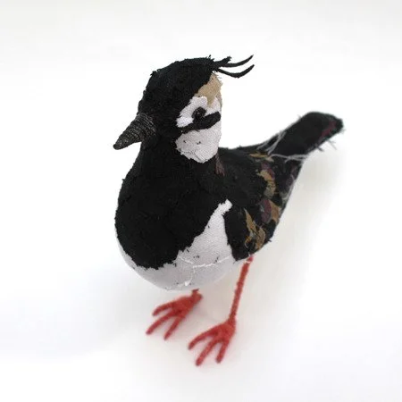 lapwing_02_sq_sml.jpg