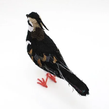 lapwing_sq_sml.jpg
