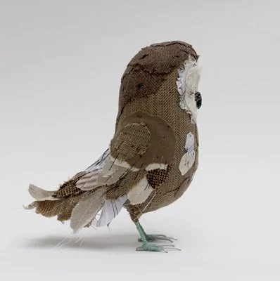 podenby_brown_owl_6_sml.jpg