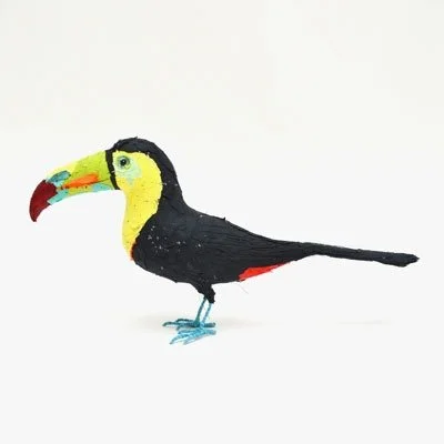 keel_billed_toucan2_sq_sml.jpg