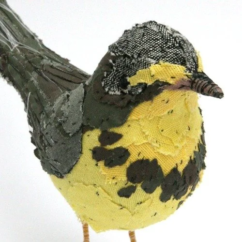 canadian_warbler_web5.jpg