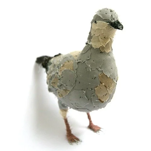 collared_dove_web3.jpg