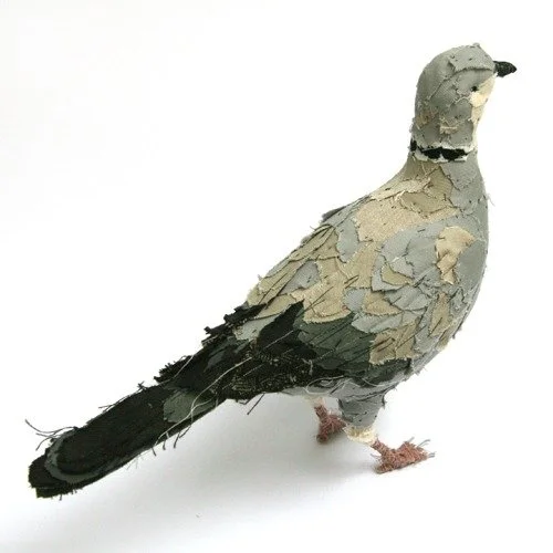 collared_dove_web2.jpg