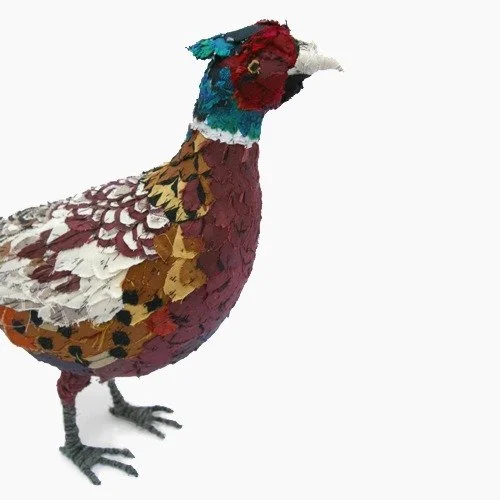 pheasant_web3.jpg