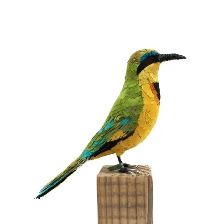 littleBeeEater2_sml.jpg