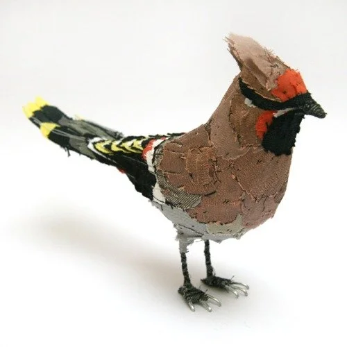 waxwing_web.jpg