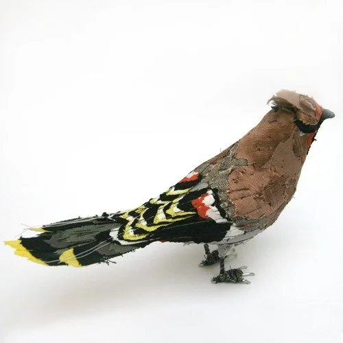 waxwing_web3.jpg
