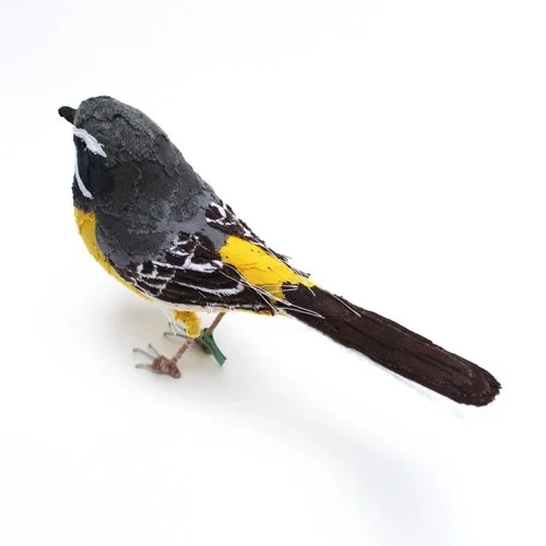greywagtail1_sml.jpg