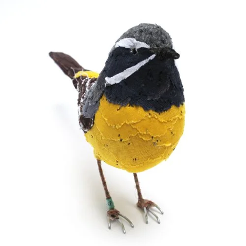 greywagtail2_sml.jpg