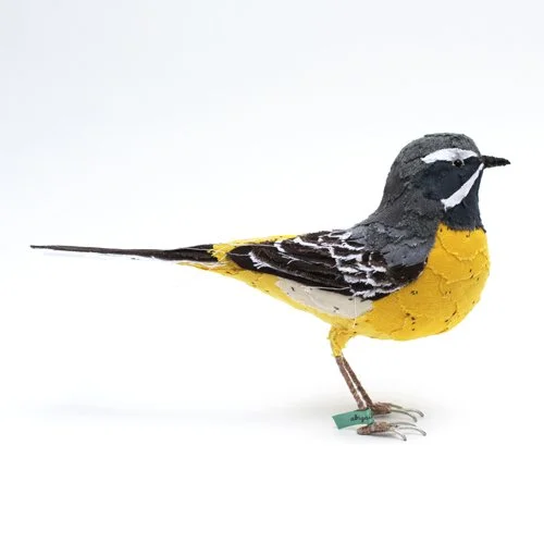 greywagtail4_sml.jpg