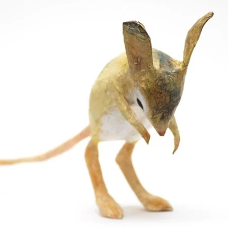 jerboa3_sml_sq.jpg