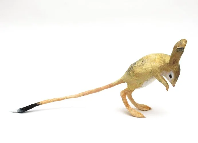 jerboa2_sml.jpg