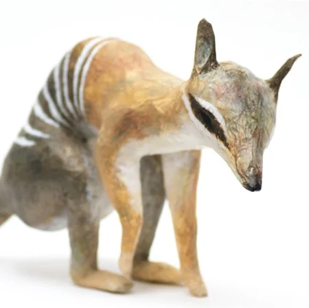numbat_sml_sq.jpg