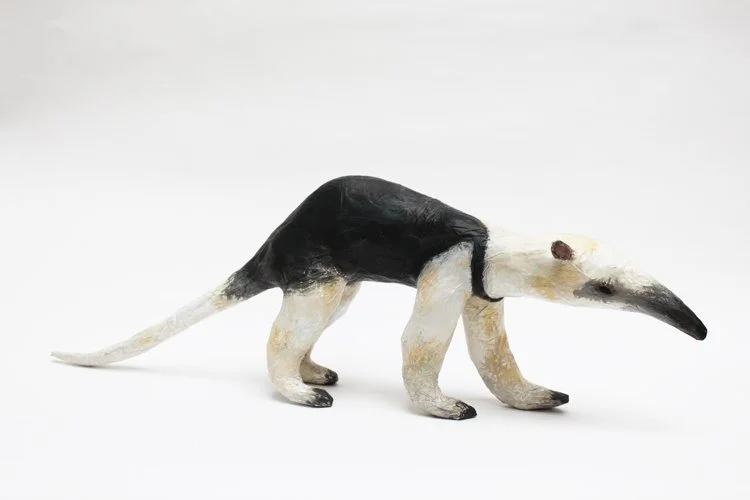 Tamandua2_sml.jpg