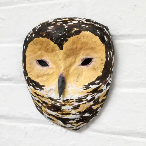 Spotted_wood_owl3_sml.jpg