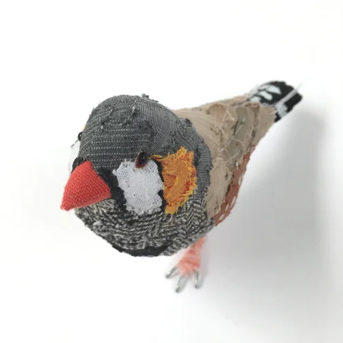 zebra_finch_sml.jpg