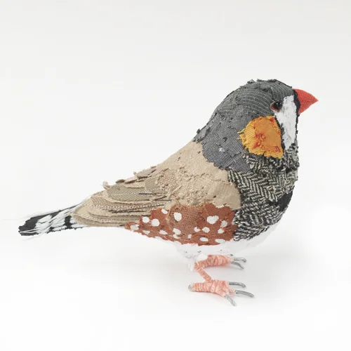 zebra_finch2_sml.jpg